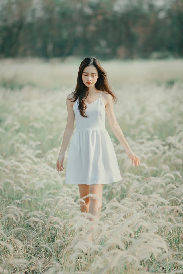 四影虎